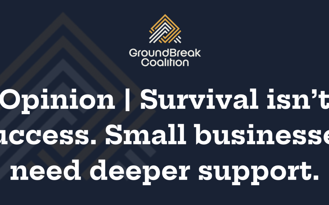 Opinion | Survival Isn’t Success. Small Businesses Need Deeper Support.